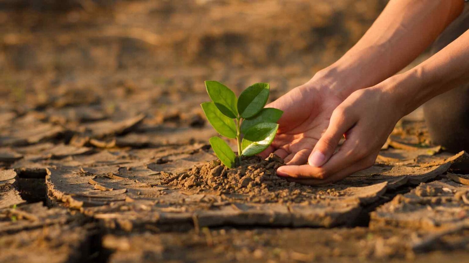 Un nuovo studio lega il riscaldamento globale a perdite fino al 40% del PIL globale, riscrivendo i modelli economici sul clima.