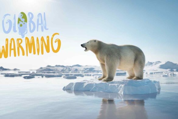 L’era del ritorno: cosa significa davvero vivere oltre i 1,5°C