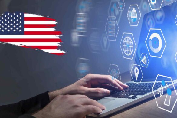Musk e Washington puntano su una mega API per i dati fiscali