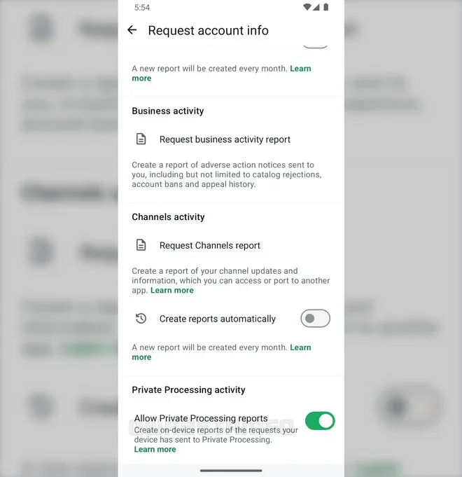 WhatsApp Private Processing Report AI WhatsApp Private Processing Report AI
