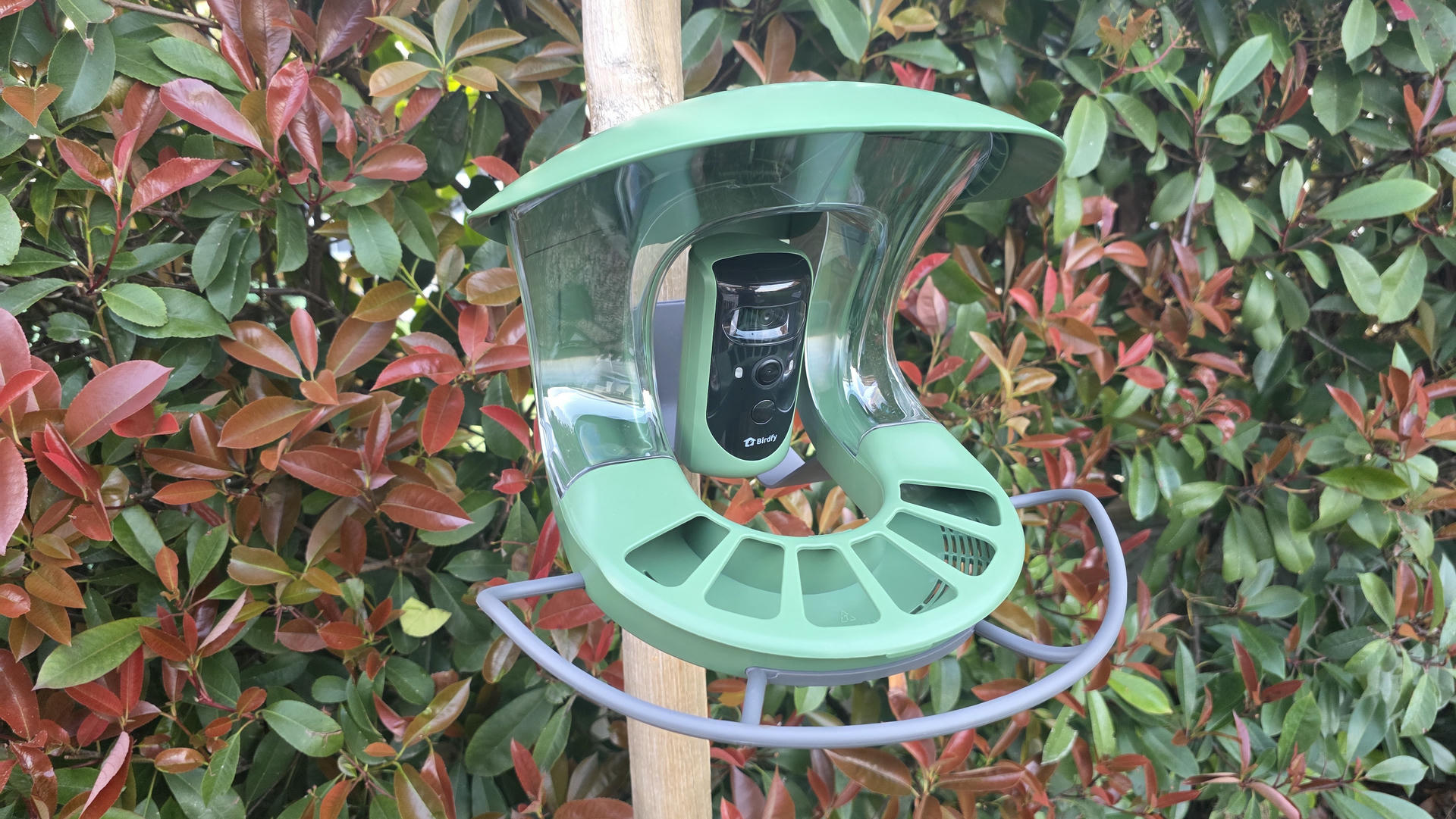 Birdfy Feeder Pro Birdfy Feeder Pro