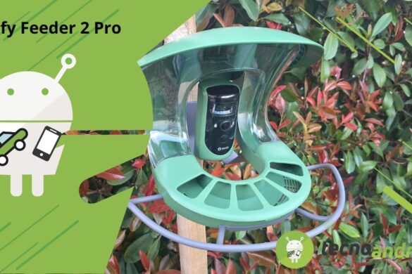 Birdfy Feeder 2 Pro: mangiatoia smart per birdwatching con videosorveglianza – Recensione