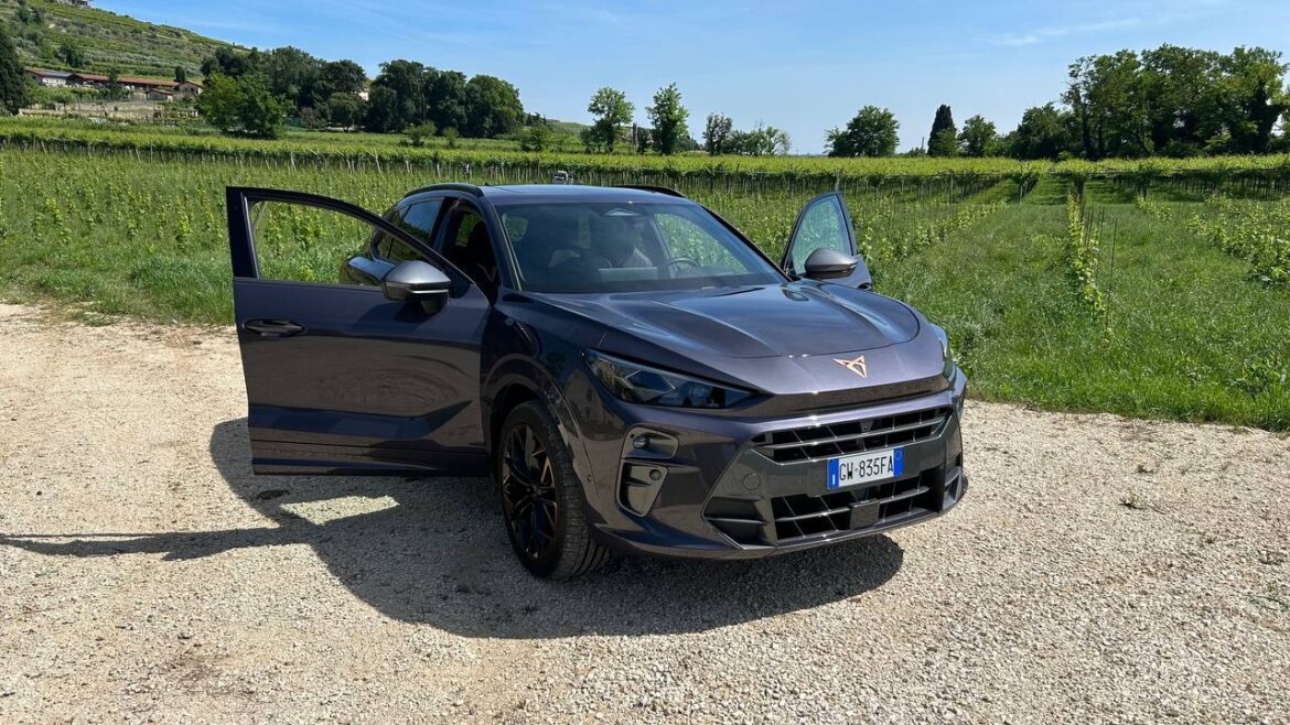 Cupra Terramar VZ () Cupra Terramar VZ ()