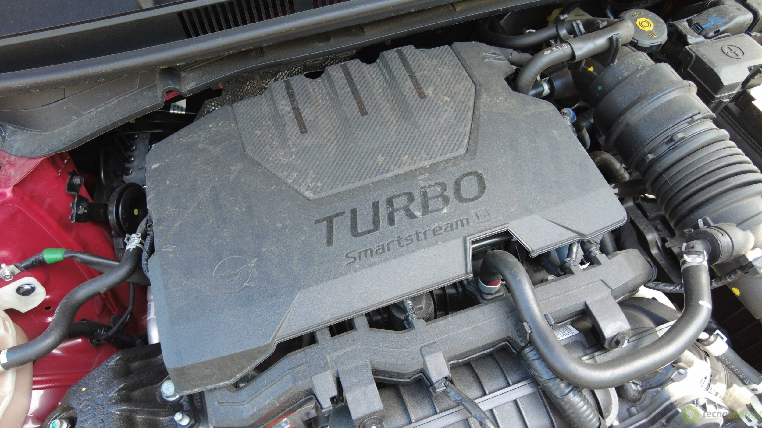 DCIMMEDIADJI JPG