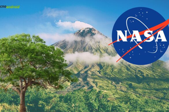 Vulcani e alberi: secondo la NASA c’è una correlazione
