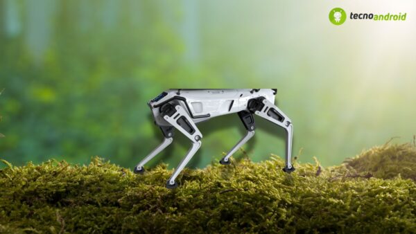 robot