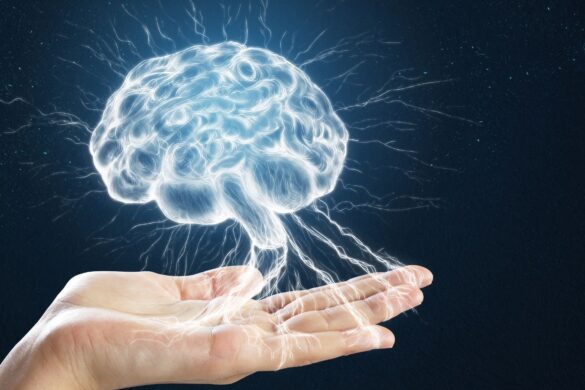 Inbrain: in arrivo nuove proposte che sfidano Neuralink