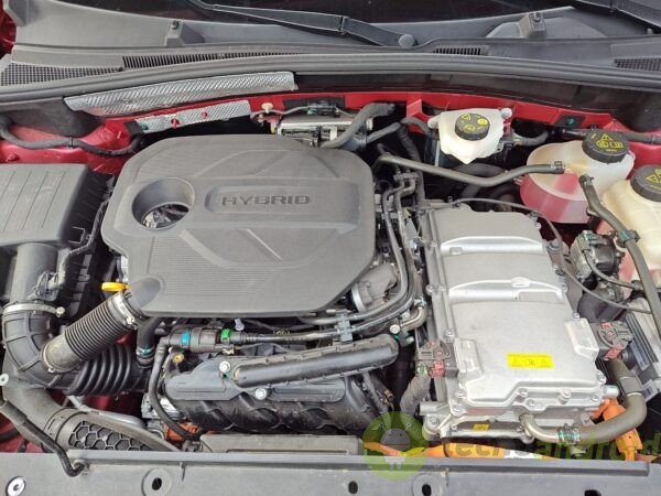 mg zs hybrid+ - immagine 17 MG ZS Hybrid+ ()