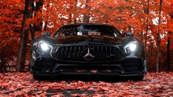 Mercedes-Benz, AMG,