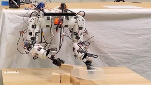 Robot umanoide, modello innovativo