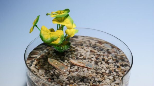 Mini robot, utili per l' ambiente