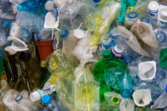 Plastica commestibile ricavata dai rifiuti: esperimenti, sfide e futuro