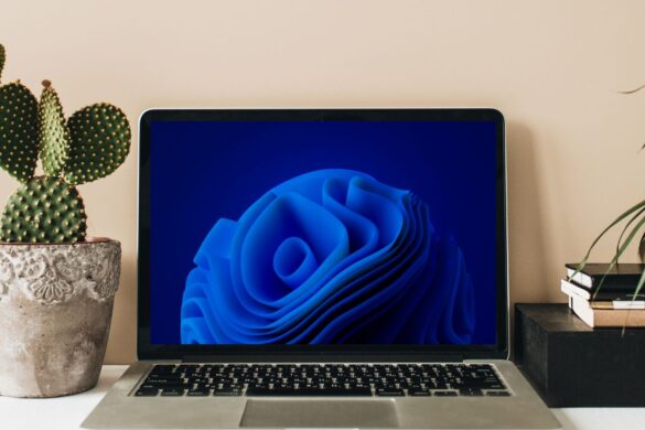 Microsoft corregge il problema del dual boot Linux su Windows 11