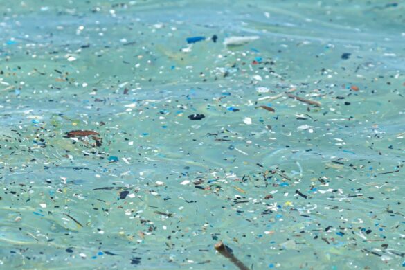 Microplastiche, trovate anche in profondità