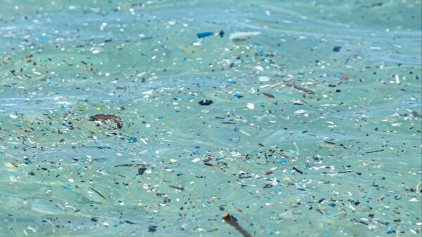 Microplastiche mappatura