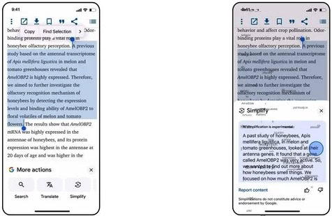 App Google iOS funzione Semplifica AI App Google iOS funzione Semplifica AI
