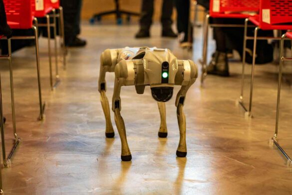 Robot a quattro zampe pattugliano i container in Cina