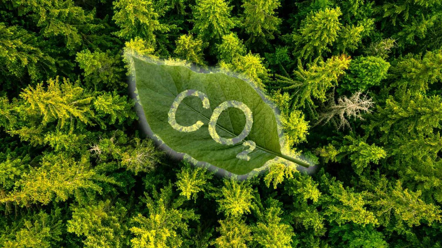 Il satellite Biomass misura il carbonio nelle foreste, creando mappe 3D per combattere il cambiamento climatico.