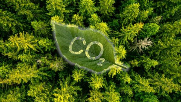 Il satellite Biomass misura il carbonio nelle foreste, creando mappe 3D per combattere il cambiamento climatico.