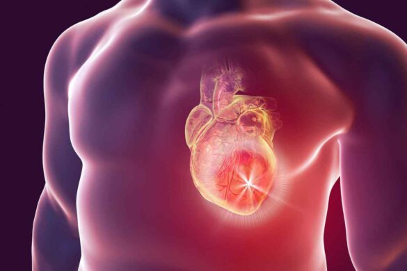 Dal laboratorio allo spazio: il chip che simula i vasi sanguigni