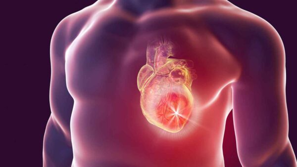 Un chip hi-tech simula i vasi sanguigni umani per studiare malattie cardiache e testare farmaci personalizzati.