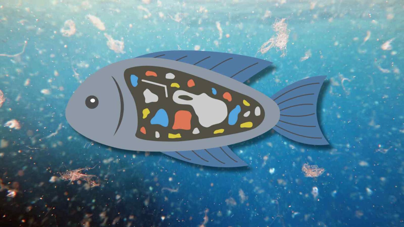 Le microplastiche viaggiano fino a 2000 m di profondità, alterando il ciclo del carbonio e minacciando gli ecosistemi marini globali.