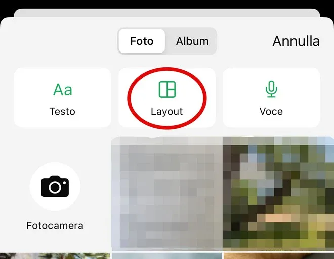 WhatsApp iOS Layout aggiornamenti di stato WhatsApp iOS Layout aggiornamenti di stato