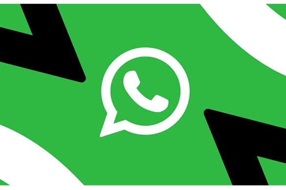 WhatsApp, adesso puoi davvero scomparire: cambia questa impostazione subito