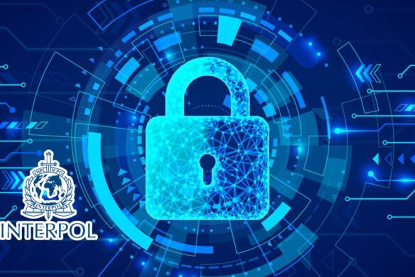 INTERPOL colpisce duro: smantellati oltre 20.000 domini cybercriminali
