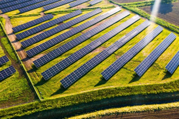 Agrivoltaico: possibili effetti positivi anche sui pascoli?