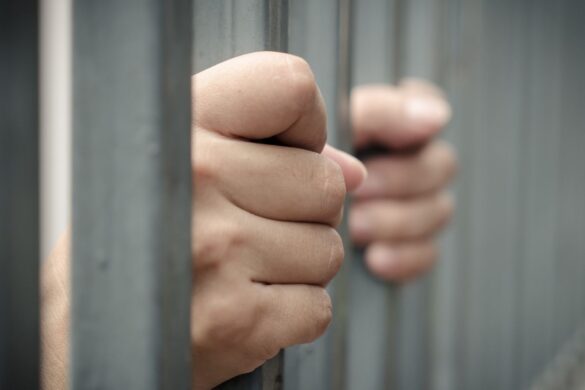 BitTorrent: un pirata è stato condannato al carcere
