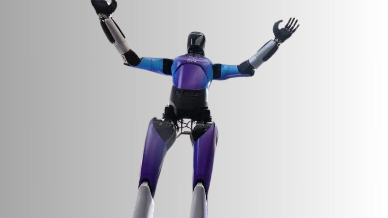 robot