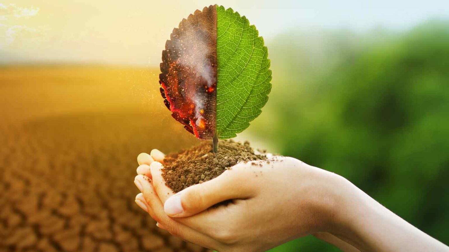 Ci restano solo due anni per evitare il superamento di 1,5°C: ogni scelta oggi può ancora fare la differenza.