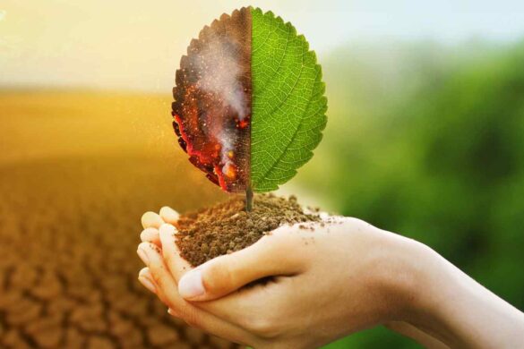 Emissioni fuori controllo: la finestra per salvare il clima si restringe