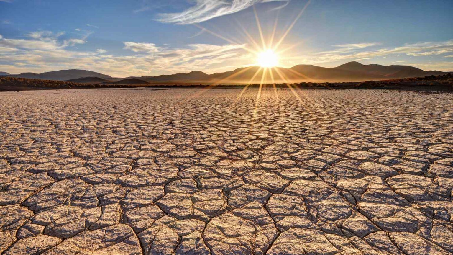 L’aria calda aumenta la “sete atmosferica”, intensificando le siccità e prosciugando suoli, fiumi e piante a livello globale.