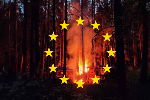 Incendi e algoritmi sbagliati: perché l’Europa spreca i fondi