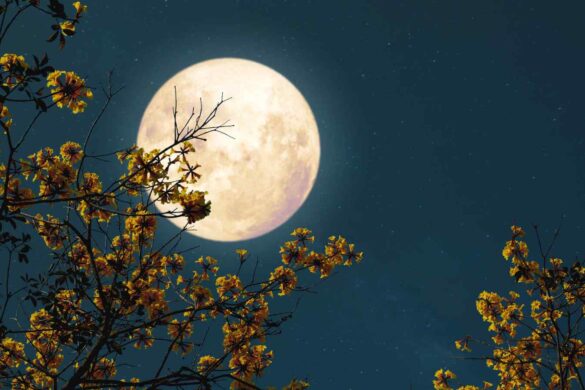 Quando la Luna era un vulcano: storie nelle sfere di vetro