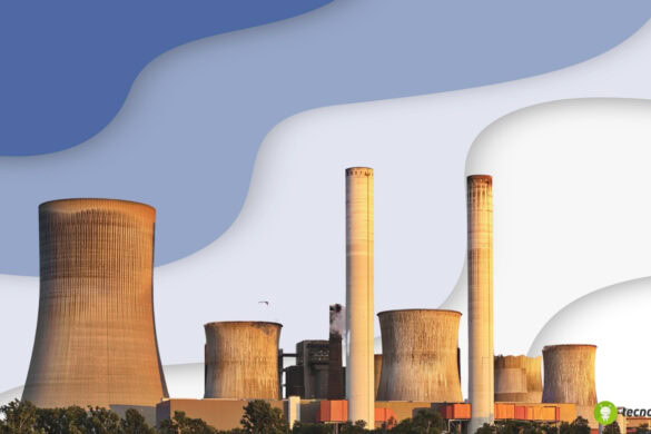 Meta fa marcia indietro sul nucleare, api fermano il progetto