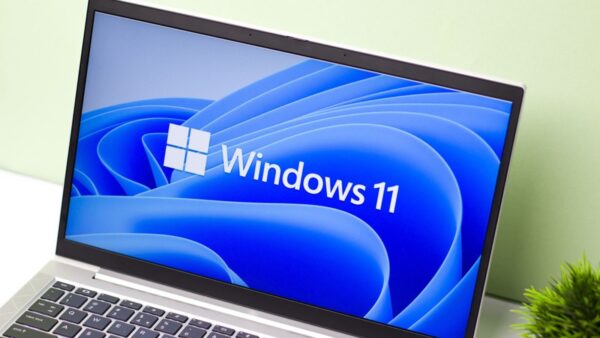 Windows 11