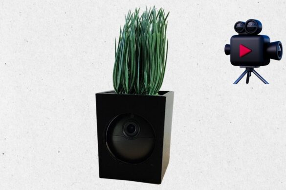 Wyze Cam vase: il vaso decorativo che nasconde una telecamera di sicurezza