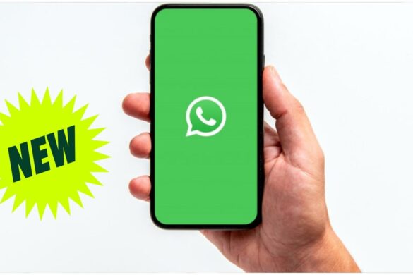 WhatsApp migliora l’assistenza: debutta una chat diretta più semplice