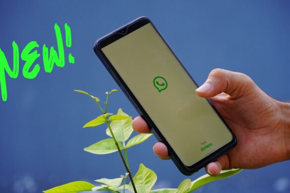WhatsApp si rinnova: interazione più profonda tra utenti e canali