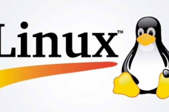 Linux supera il 5% negli USA: sempre più utenti lasciano Windows