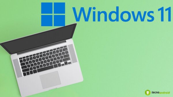 Windows