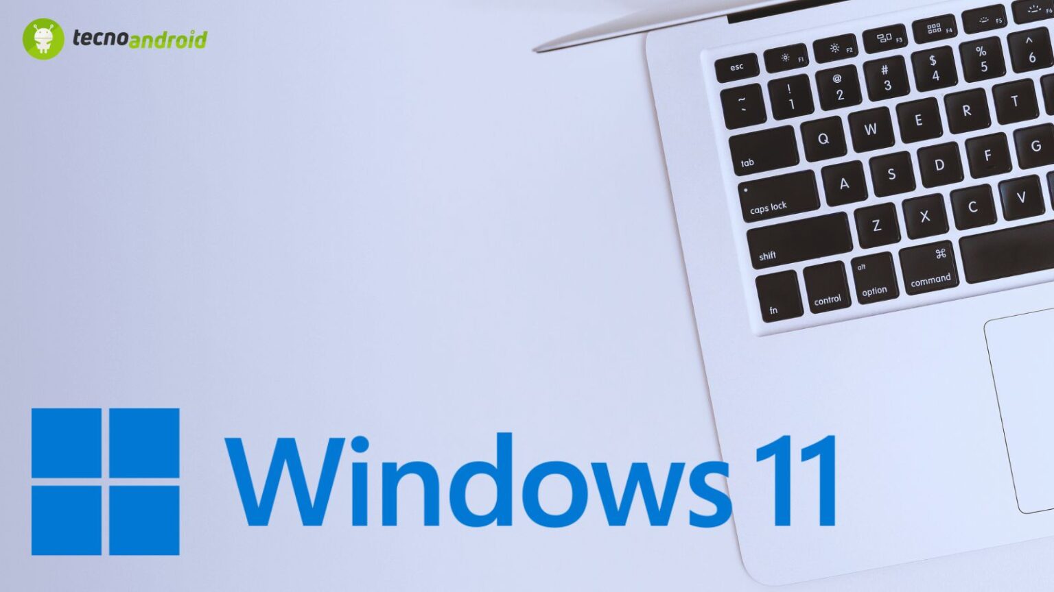 windows