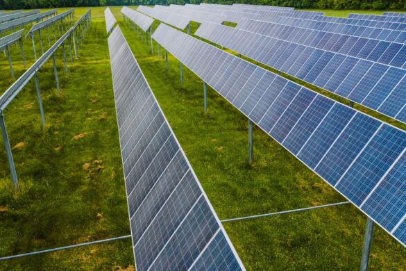 Dalla luce alla corrente: il segreto dei radicali organici