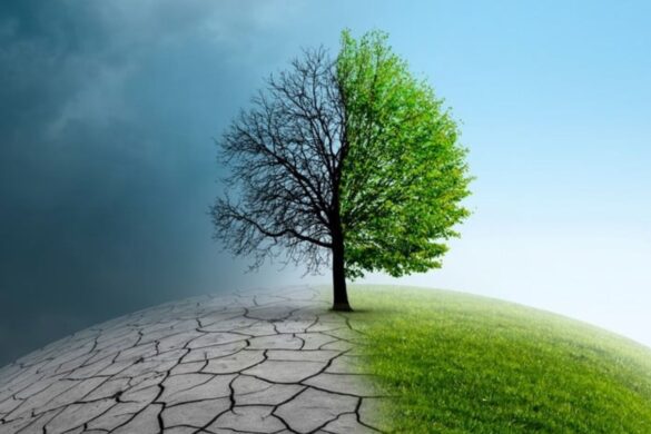 Clima: per la legge è doveroso ridurre le emissioni