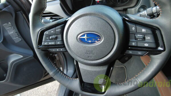 Subaru - dettaglio DCIMMEDIADJI JPG
