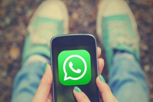 WhatsApp, più GIF visibili nella schermata di selezione: novità in arrivo su Android