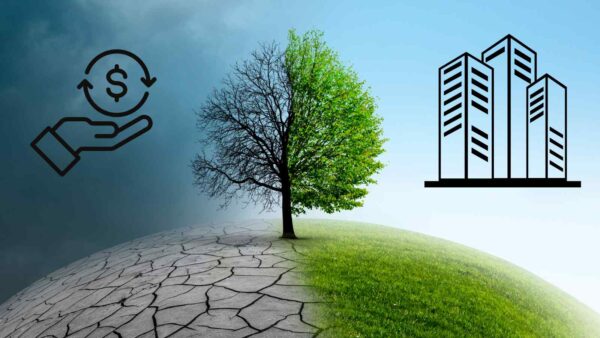 Il cambiamento climatico impatta le aziende globali: blocchi produttivi, costi in crescita e sostenibilità come necessità, non più scelta.